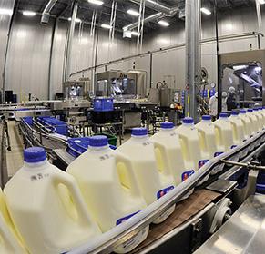 Procedure for Milk Processing